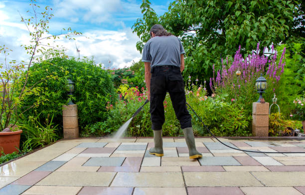 Best Fence Cleaning  in Bazon, CA